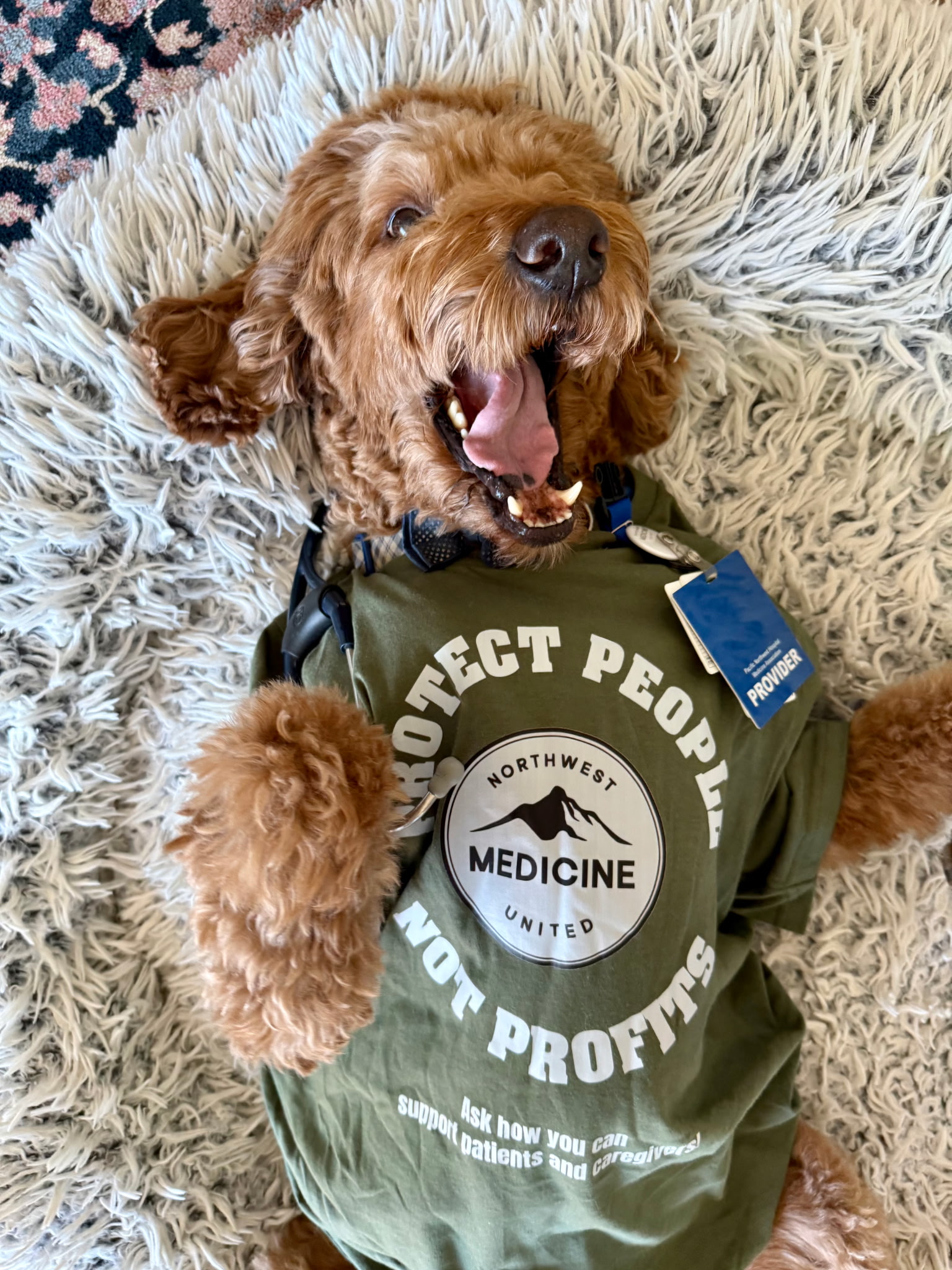 Photo of cute dog wearing t-shirt with NWMU logo that reads "Protect People Not Profits"
