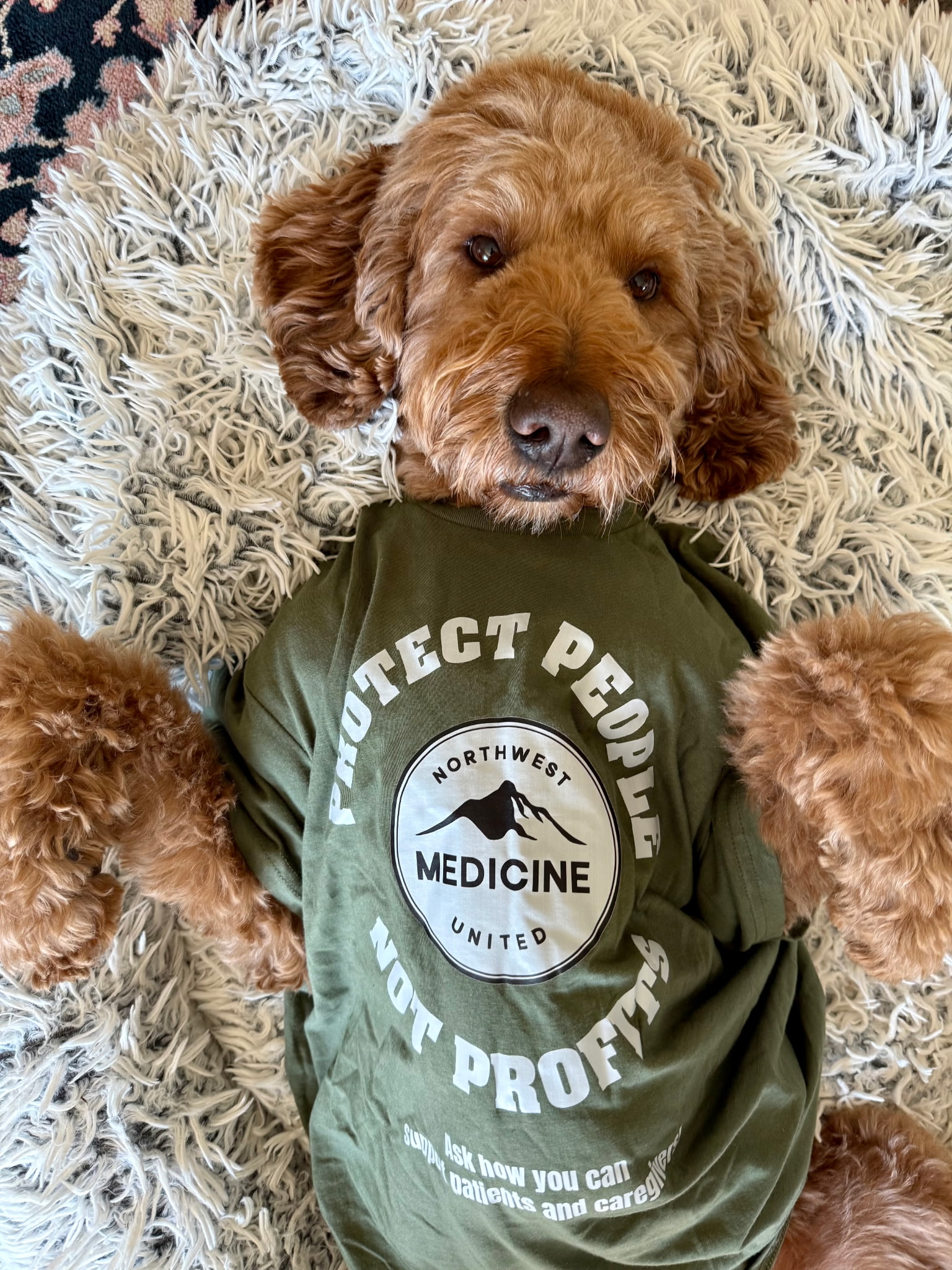 Photo of cute dog wearing t-shirt with NWMU logo that reads "Protect People Not Profits"