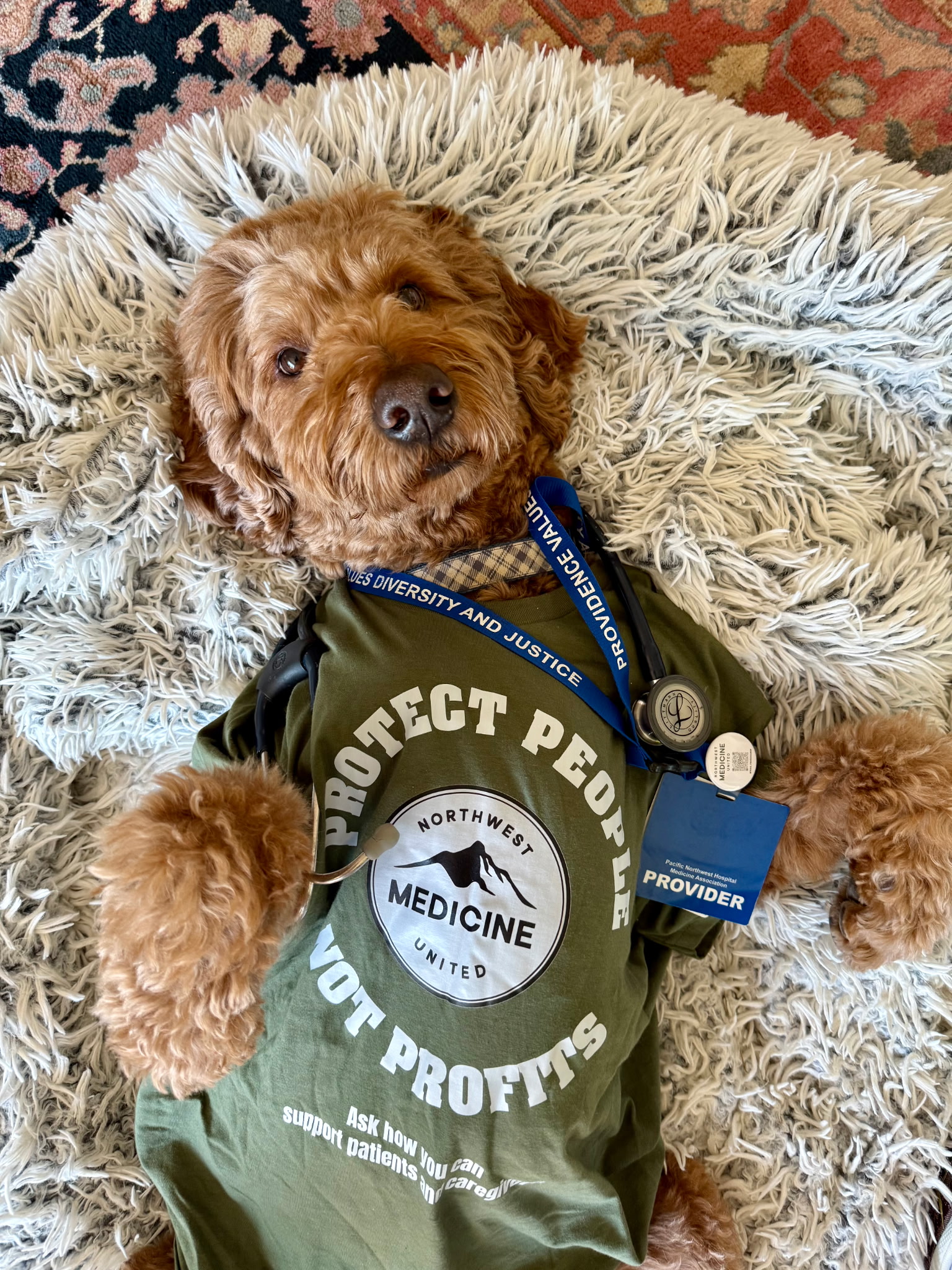  Photo of cute dog wearing t-shirt with NWMU logo that reads "Protect People Not Profits"